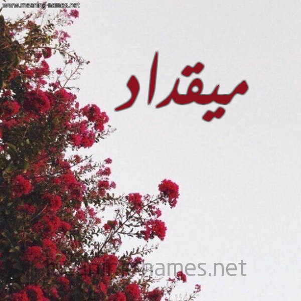 شكل 18 صوره الورد الأحمر للإسم بخط رقعة صورة اسم ميقداد Miqdad