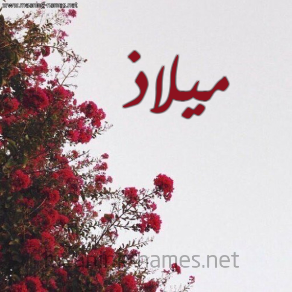 شكل 18 صوره الورد الأحمر للإسم بخط رقعة صورة اسم ميلاذ Malaz