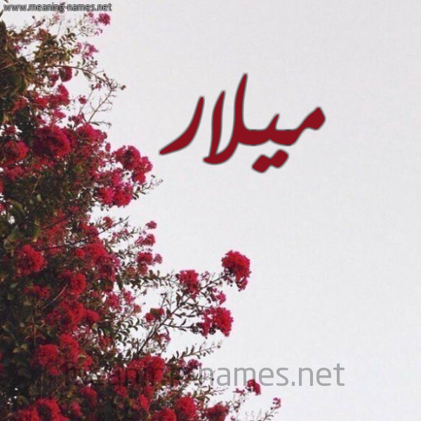 شكل 18 صوره الورد الأحمر للإسم بخط رقعة صورة اسم ميلار milar
