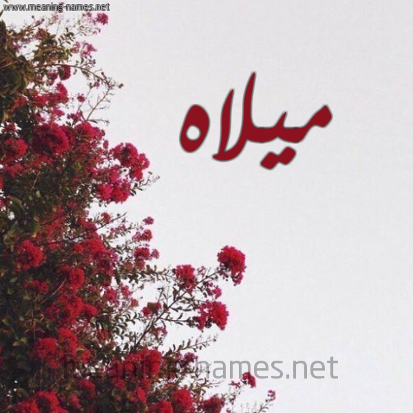 شكل 18 صوره الورد الأحمر للإسم بخط رقعة صورة اسم ميلاه Mylah