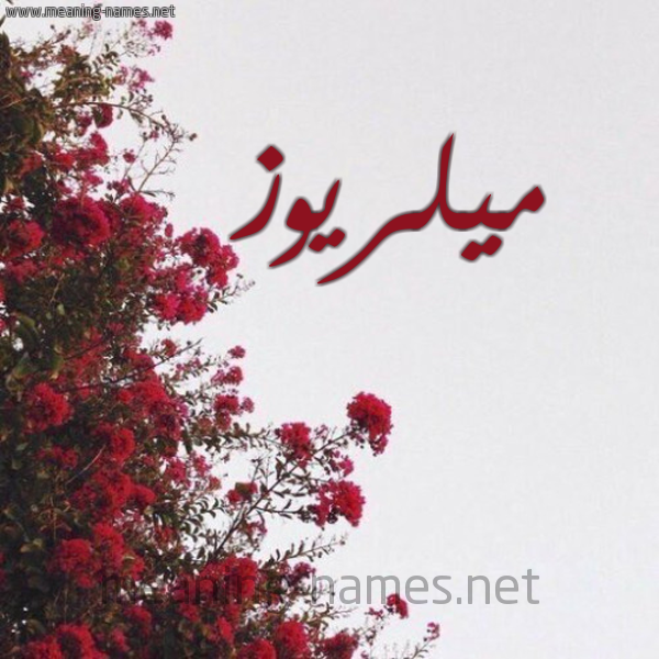 شكل 18 صوره الورد الأحمر للإسم بخط رقعة صورة اسم ميلريوز Melrose