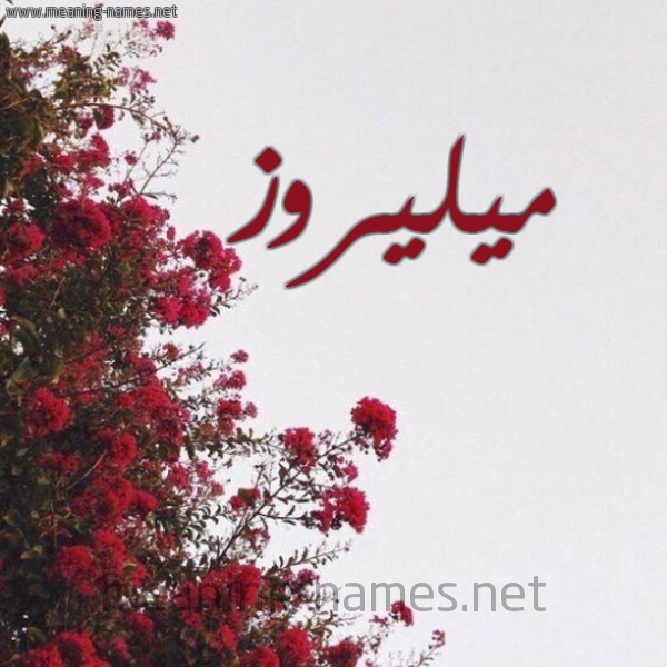 شكل 18 صوره الورد الأحمر للإسم بخط رقعة صورة اسم ميليروز Melrose
