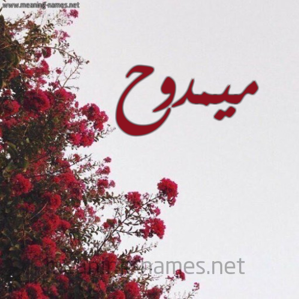 شكل 18 صوره الورد الأحمر للإسم بخط رقعة صورة اسم ميمدوح Mamdouh