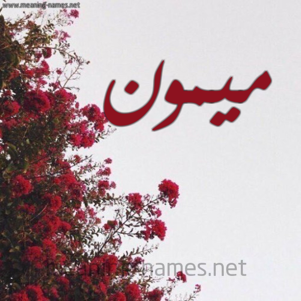 شكل 18 صوره الورد الأحمر للإسم بخط رقعة صورة اسم ميمون Mymon