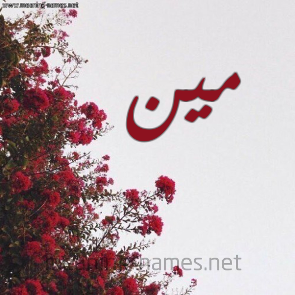 شكل 18 صوره الورد الأحمر للإسم بخط رقعة صورة اسم مين MIN