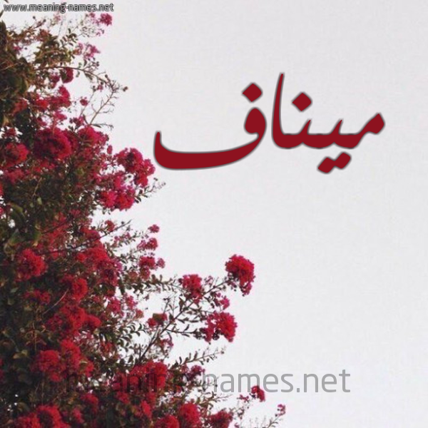 شكل 18 صوره الورد الأحمر للإسم بخط رقعة صورة اسم ميناف Manaf