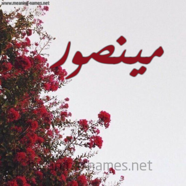 شكل 18 صوره الورد الأحمر للإسم بخط رقعة صورة اسم مينصور Mansoor