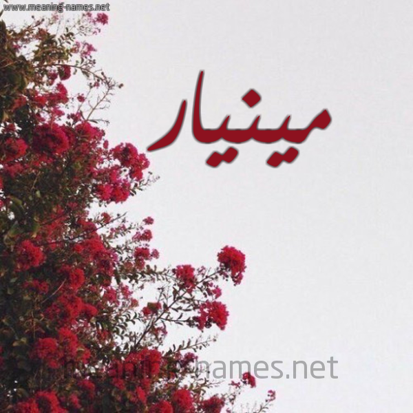 شكل 18 صوره الورد الأحمر للإسم بخط رقعة صورة اسم مينيار Minar