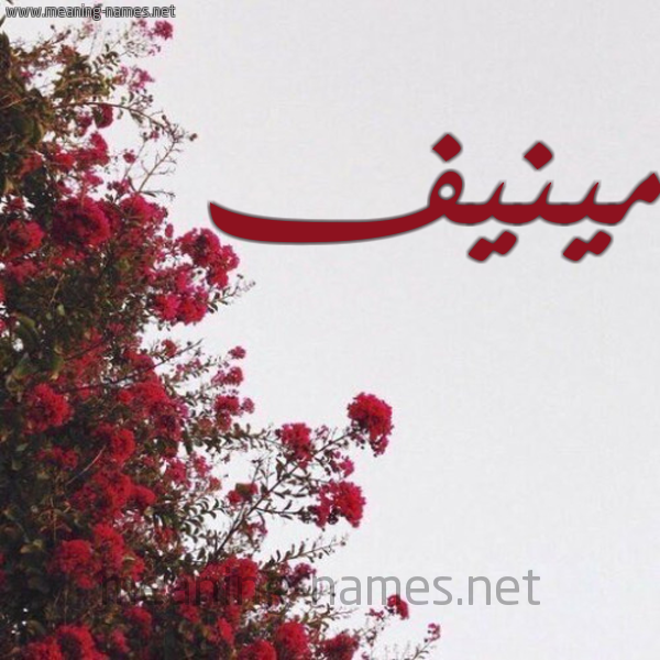 شكل 18 صوره الورد الأحمر للإسم بخط رقعة صورة اسم مينيف Munif-