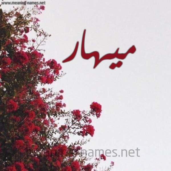 شكل 18 صوره الورد الأحمر للإسم بخط رقعة صورة اسم ميهار Mohar