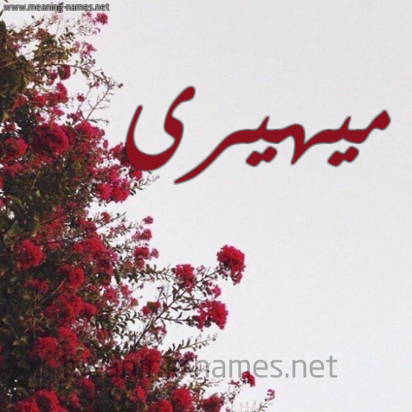 شكل 18 صوره الورد الأحمر للإسم بخط رقعة صورة اسم ميهيرى Meher