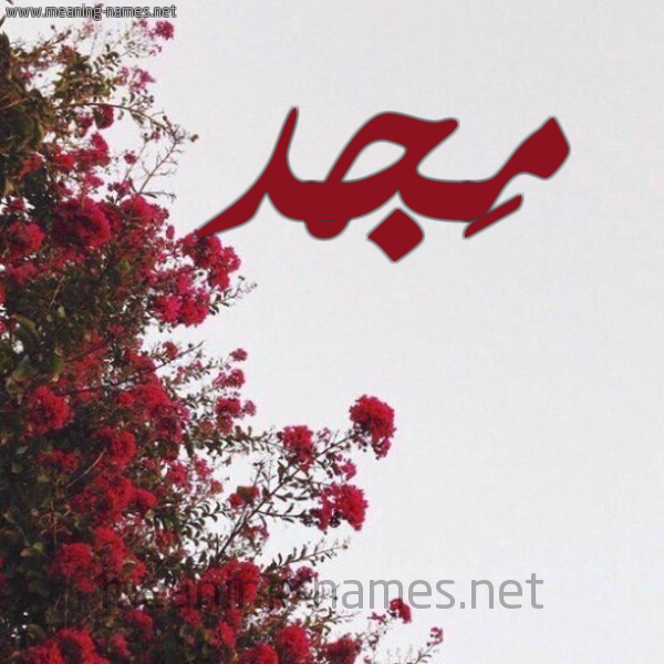 شكل 18 صوره الورد الأحمر للإسم بخط رقعة صورة اسم مَجْد MAGD