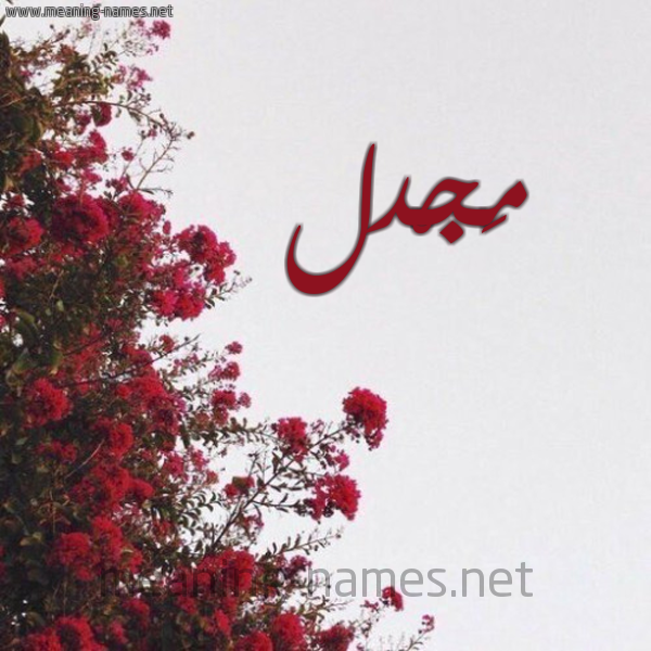شكل 18 صوره الورد الأحمر للإسم بخط رقعة صورة اسم مَجْدل MAGDL