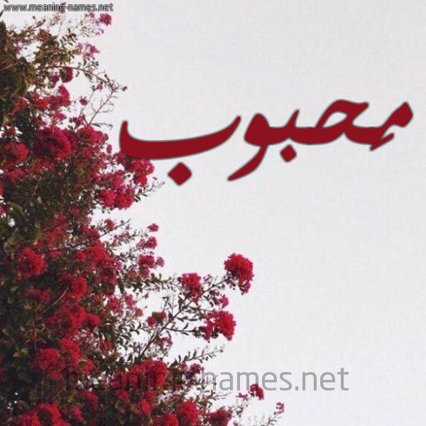 شكل 18 صوره الورد الأحمر للإسم بخط رقعة صورة اسم مَحبوب MAHBOB