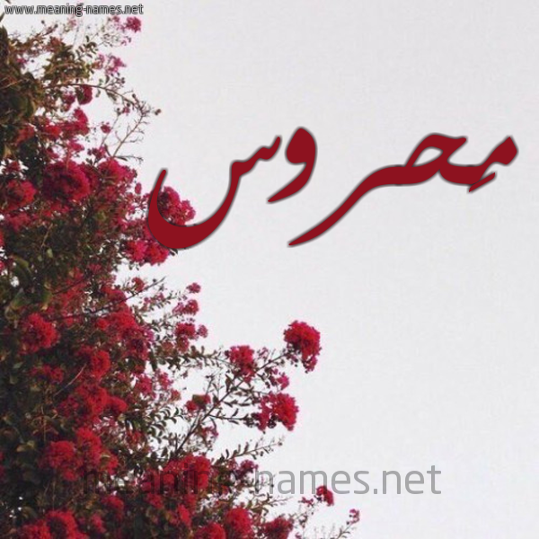 شكل 18 صوره الورد الأحمر للإسم بخط رقعة صورة اسم مَحروس MAHROS