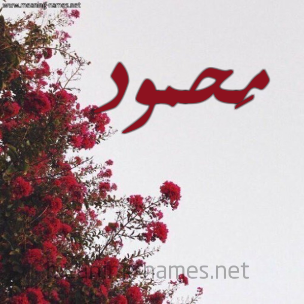 شكل 18 صوره الورد الأحمر للإسم بخط رقعة صورة اسم مَحمود Mahmoud