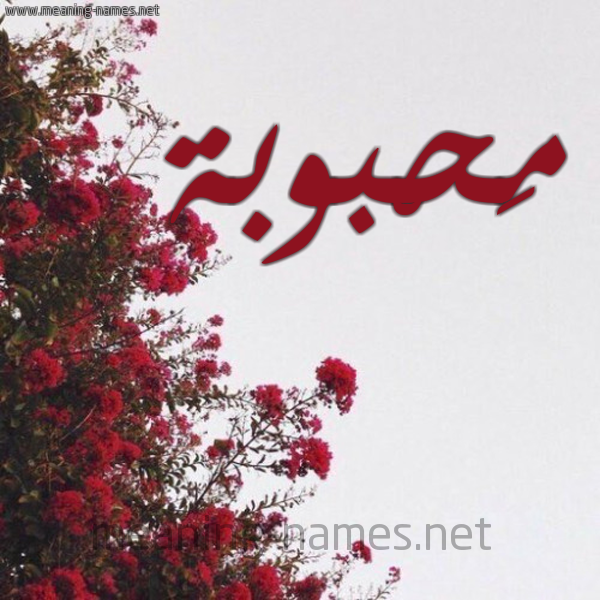 شكل 18 صوره الورد الأحمر للإسم بخط رقعة صورة اسم مَحْبوبة MAHBOBH