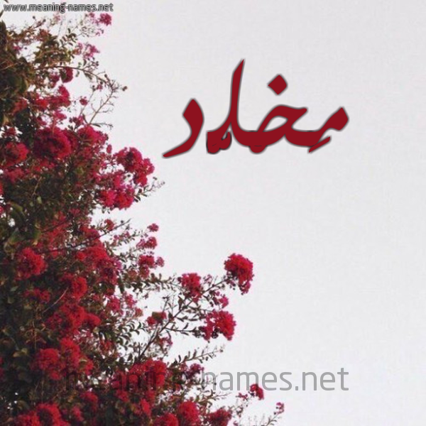 شكل 18 صوره الورد الأحمر للإسم بخط رقعة صورة اسم مَخْلَّّد MAKHLAD
