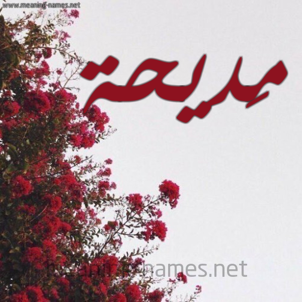 شكل 18 صوره الورد الأحمر للإسم بخط رقعة صورة اسم مَديحة Madiha
