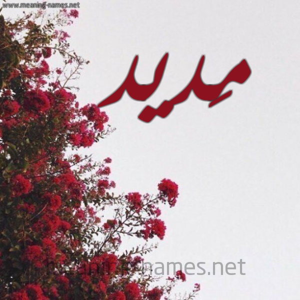 شكل 18 صوره الورد الأحمر للإسم بخط رقعة صورة اسم مَديد MADID