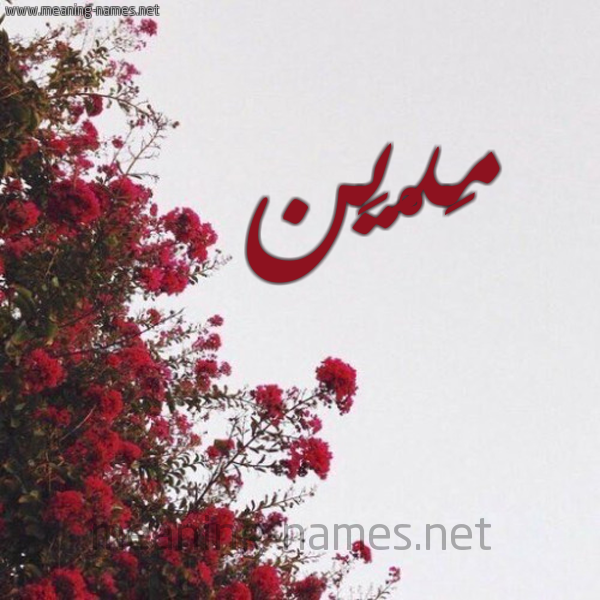 شكل 18 صوره الورد الأحمر للإسم بخط رقعة صورة اسم مَدْيَن Madian