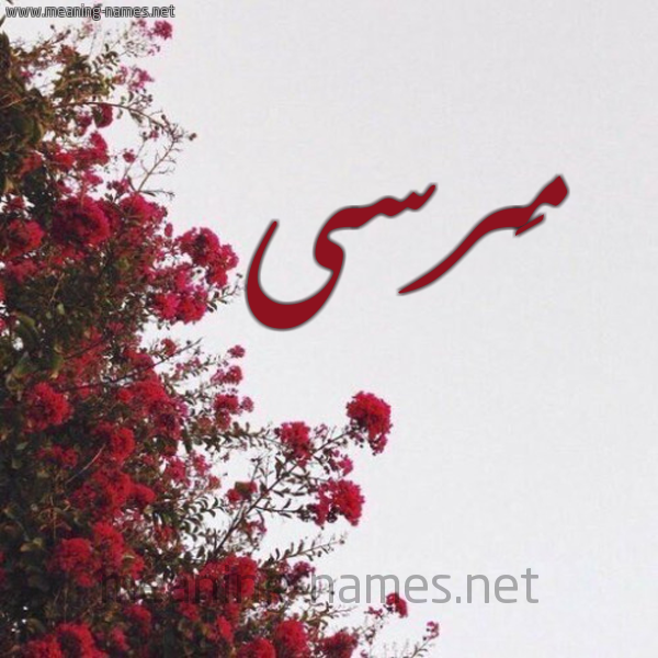 شكل 18 صوره الورد الأحمر للإسم بخط رقعة صورة اسم مَرسى Marsa