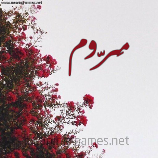 شكل 18 صوره الورد الأحمر للإسم بخط رقعة صورة اسم مَرّوم MAROM