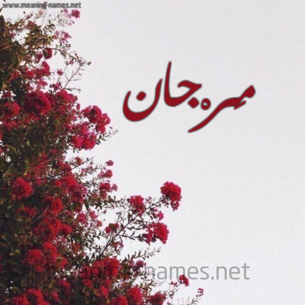 شكل 18 صوره الورد الأحمر للإسم بخط رقعة صورة اسم مَرْجان MARGAN