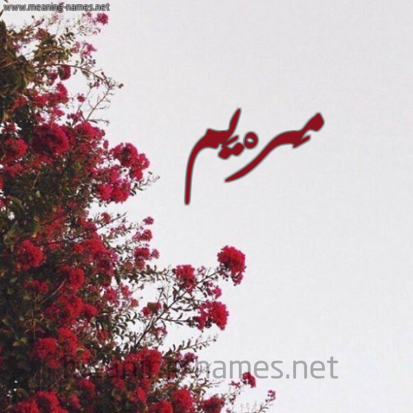 شكل 18 صوره الورد الأحمر للإسم بخط رقعة صورة اسم مَرْيَم Mariam