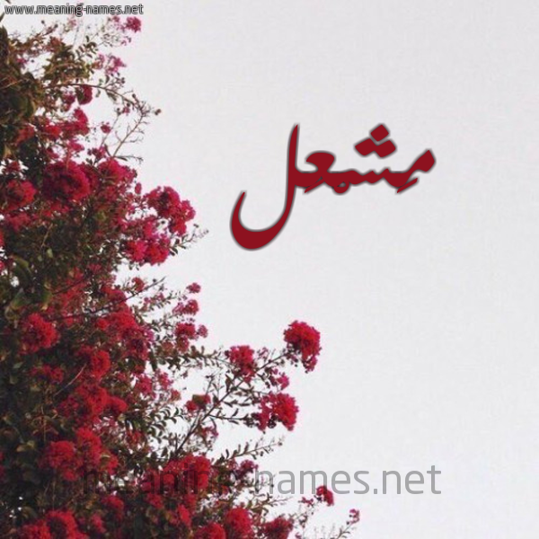شكل 18 صوره الورد الأحمر للإسم بخط رقعة صورة اسم مَشْعَل MASHAAL