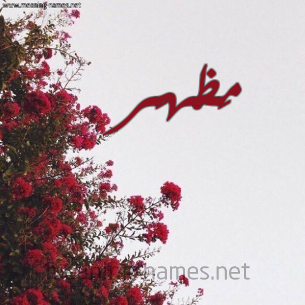شكل 18 صوره الورد الأحمر للإسم بخط رقعة صورة اسم مَظْهَر MAZHAR