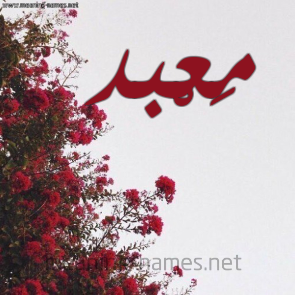 شكل 18 صوره الورد الأحمر للإسم بخط رقعة صورة اسم مَعْبد MAABD