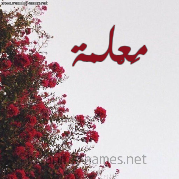 شكل 18 صوره الورد الأحمر للإسم بخط رقعة صورة اسم مَعْلمة MAALMH