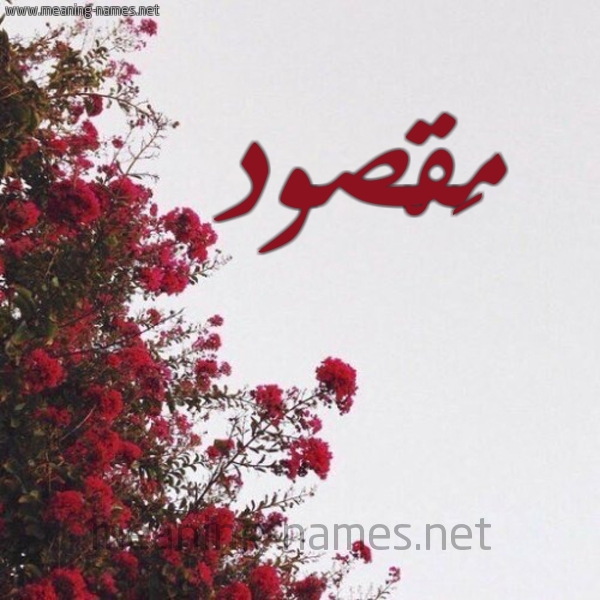 شكل 18 صوره الورد الأحمر للإسم بخط رقعة صورة اسم مَقْصود MAQSOD