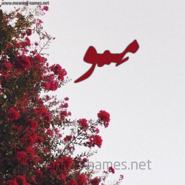 شكل 18 صوره الورد الأحمر للإسم بخط رقعة صورة اسم مَمُّو MAMOO