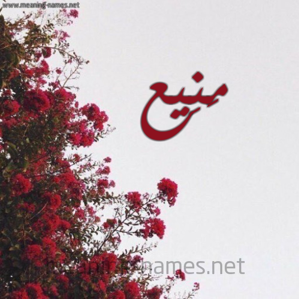 شكل 18 صوره الورد الأحمر للإسم بخط رقعة صورة اسم مَنِيع MANEIA
