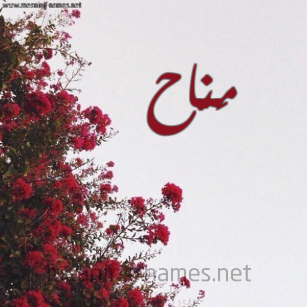 شكل 18 صوره الورد الأحمر للإسم بخط رقعة صورة اسم مَنّاح MANAH