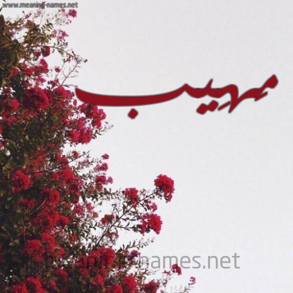 شكل 18 صوره الورد الأحمر للإسم بخط رقعة صورة اسم مَهِيب MAHEIB