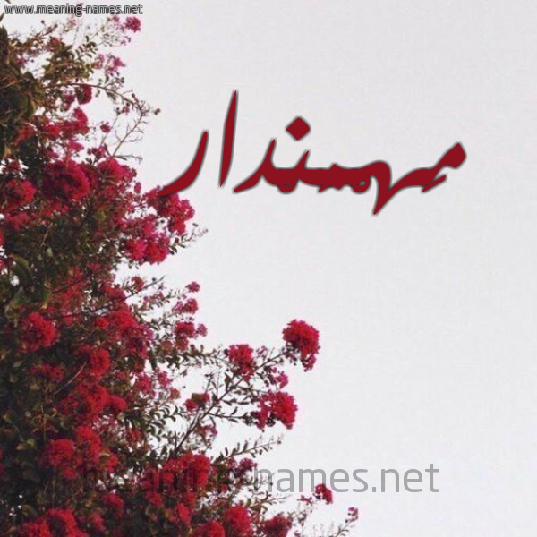 شكل 18 صوره الورد الأحمر للإسم بخط رقعة صورة اسم مَهْمَنْدار MAHMANDAR