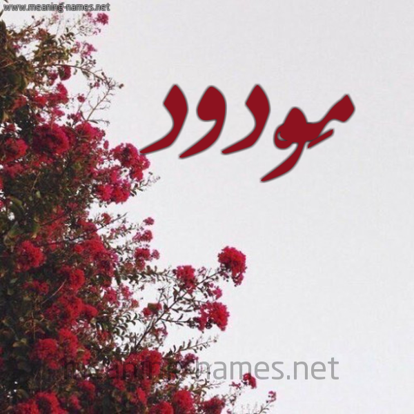 شكل 18 صوره الورد الأحمر للإسم بخط رقعة صورة اسم مَوْدود MAODOD