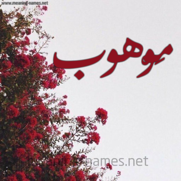 شكل 18 صوره الورد الأحمر للإسم بخط رقعة صورة اسم مَوْهوب MAOHOB