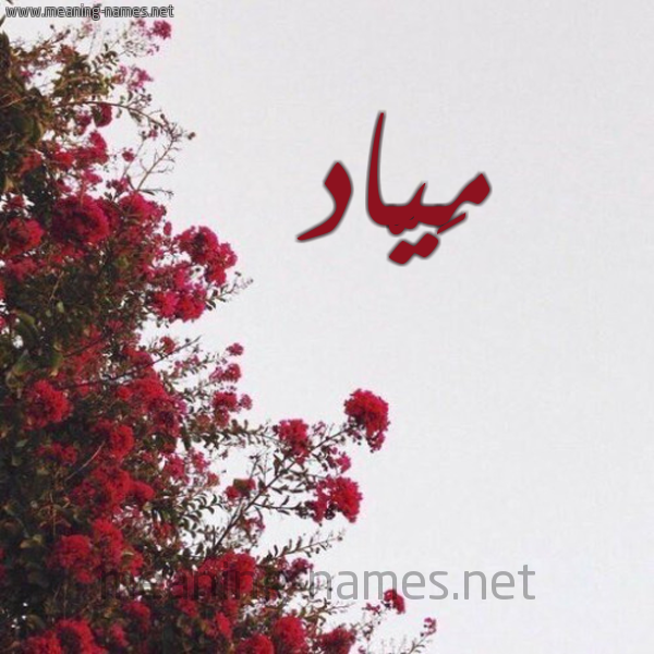 شكل 18 صوره الورد الأحمر للإسم بخط رقعة صورة اسم مَيّاد MAIAD