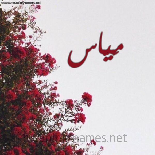 شكل 18 صوره الورد الأحمر للإسم بخط رقعة صورة اسم مَيّاس MAIAS