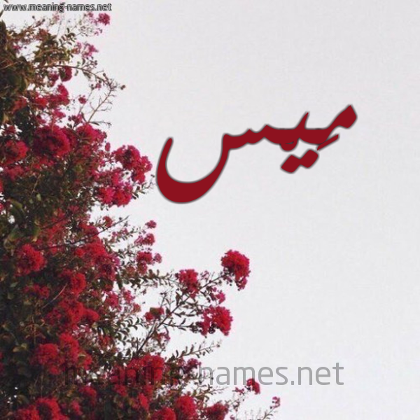 شكل 18 صوره الورد الأحمر للإسم بخط رقعة صورة اسم مَيْس MAIS