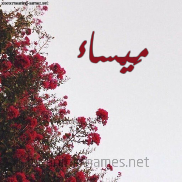 شكل 18 صوره الورد الأحمر للإسم بخط رقعة صورة اسم مَيْساء MAISAA
