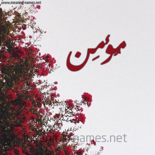 شكل 18 صوره الورد الأحمر للإسم بخط رقعة صورة اسم مُؤمِن MOOMEN