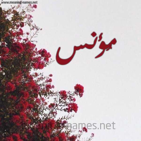 شكل 18 صوره الورد الأحمر للإسم بخط رقعة صورة اسم مُؤنس MOONS