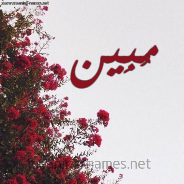 شكل 18 صوره الورد الأحمر للإسم بخط رقعة صورة اسم مُبِين MOBEIN