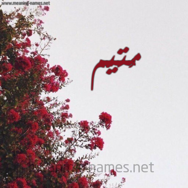 شكل 18 صوره الورد الأحمر للإسم بخط رقعة صورة اسم مُتَيَّم MOTAIAM