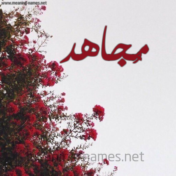 شكل 18 صوره الورد الأحمر للإسم بخط رقعة صورة اسم مُجاهد MOGAHD